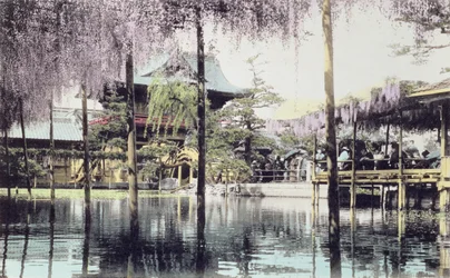 Blauregenblüte über dem Teich in den Kameido-Tempelgärten, Tokio, späte 19. Jahrhundert